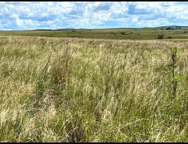 FARM FOR SALE IN LINDLEY